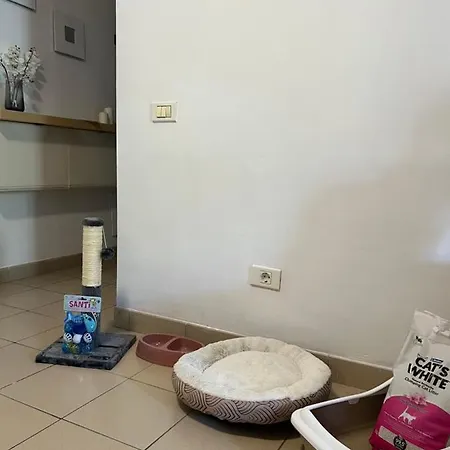 Appartement Lost Paradise